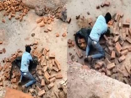 VIDEO: A man's bravery in Lakhimpur Kheri, Uttar Pradesh, fought fiercely with a black leopard in a filmy style | VIDEO: यूपी के लखीमपुर खीरी में एक व्यक्ति की दिलेरी, फिल्मी अंदाज में काले तेंदुए से हुई तगड़ी लड़ाई, अंत में मारा गया तेंदुआ VIDEO: A man's bravery in Lakhimpur Kheri, Uttar Pradesh, fought fiercely with a black leopard in a filmy style | VIDEO: यूपी के लखीमपुर खीरी में एक व्यक्ति की दिलेरी, फिल्मी अंदाज में काले तेंदुए से हुई तगड़ी लड़ाई, अंत में मारा गया तेंदुआ