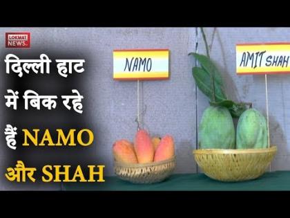 वीडियो: दिल्ली के Mango Festival में 500 से ज्यादा रसीले आमों का मेला, आप कैसे खाएंगे