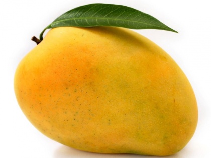 health tips eat mango to get rid constipation, acidity, bloating and others digestive problems | सिर्फ 1 आम खाने से होगा कब्ज, अपच, एसिडिटी, गैस का नाश, बस इस तरीके से खायें