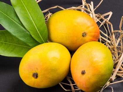 Now postmen will deliver mangoes and litchi to homes, agreement reached between Bihar Postal Department and Horticulture Department | लॉकडाउनः लो जी डाकिया लेटर ही नहीं आम और लीची भी घर लेकर आएंगे, ऑनलाइन करें ऑर्डर, घरों तक डिलीवरी