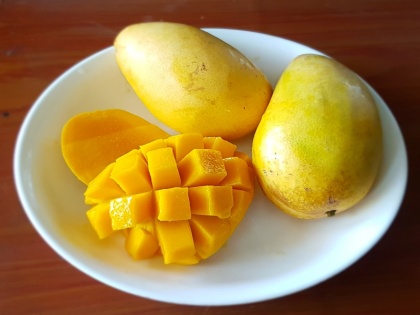 people who eat more mango in summer can face Boils Pimple Acne Diarrhea and Abdominal Pain Problem health tips in hindi | Health Tips: गर्मियों में ज्यादा आम खाने वालों को हो सकते है फोड़े, फुंसी और मुंहासे, बढ़ सकता है पेट दर्द और दस्त की समस्या, जानें Mango के नुकसान