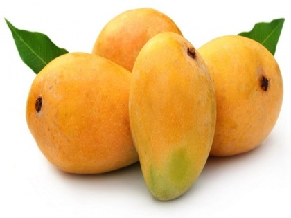 benefits of eating mangoes how to strong immunity system through mangoes | Healthy diet tips: खाना खाने के बाद खायें आम, होंगे ये 5 गजब के फायदे