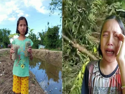 Manipuri girl crying over cut trees video goes viral cm N. Biren Singh makes her ‘green ambassador’ | पेड़ कटने पर रोई मणिपुर की 9 साल की बच्ची, वीडियो वायरल होने के बाद मुख्यमंत्री ने बनाया ''ग्रीन मिशन'' का ब्रांड एंबेसडर
