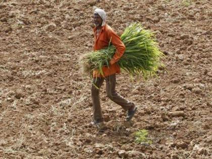 Jharkhand MGNREGA labourer briefly arrested for not paying Rs 3 point 5 crore as GST | 198 रुपये रोजाना कमाने वाले मनरेगा मजदूर को मिला 3.5 करोड़ रु. GST का नोटिस, गिरफ्तार करने पहुंची पुलिस और फिर.... Jharkhand MGNREGA labourer briefly arrested for not paying Rs 3 point 5 crore as GST | 198 रुपये रोजाना कमाने वाले मनरेगा मजदूर को मिला 3.5 करोड़ रु. GST का नोटिस, गिरफ्तार करने पहुंची पुलिस और फिर....