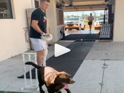 Marnus Labuschagne has a mate giving him throwdowns, pet dog as 'keeper | ऑस्ट्रेलियाई क्रिकेटर मार्नस लाबुशेन ने घर में ही बना ली पिच, इस अंदाज में कर रहे हैं प्रैक्टिस