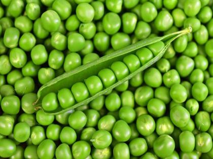 Anemia treatment at home: iron rich veg and non veg food, best source of iron, anemia signs and symptoms, how much daily need of iron in Hindi | खून की कमी का उपचार : खून की कमी पूरी करने के लिए सभी को खानी चाहिए आयरन से भरपूर ये 10 चीजें Anemia treatment at home: iron rich veg and non veg food, best source of iron, anemia signs and symptoms, how much daily need of iron in Hindi | खून की कमी का उपचार : खून की कमी पूरी करने के लिए सभी को खानी चाहिए आयरन से भरपूर ये 10 चीजें