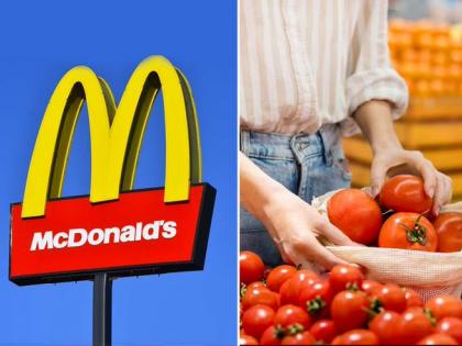 Fast food chain McDonald's stopped using tomatoes in food items restaurants in northern and eastern regions prices gone above Rs 150 per kg Users sharing pictures burgers tomatoes | McDonald's fast food chain: थाली से गायब टमाटर!, मैकडॉनल्ड्स ने अधिकांश रेस्तरां में खाने के सामान में इस्तेमाल बंद किया, उपयोगकर्ता बिना टमाटर वाले बर्गर की तस्वीरें साझा कर रहे...