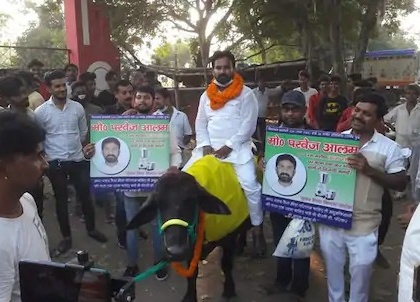 Bihar Election: Case filed against candidate for campaigning on buffalo in Gaya | Bihar Election: भैंस पर बैठकर चुनाव प्रचार करने निकले इस पार्टी के उम्मीदवार, पशु क्रूरता नियम का केस दर्ज
