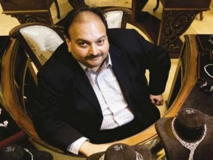 Mehul Choksi Fraud Rs 13000 crore Preparations noose Choksi arrested in Belgium Pankaj Chaudhary said not tolerate fugitives and corrupt India seeks extradition | Mehul Choksi: 13000 करोड़ रुपये की धोखाधड़ी?, बेल्जियम में गिरफ्तार मेहुल चोकसी पर शिकंजा कसने की तैयारी, पंकज चौधरी बोले-भगोड़ों और भ्रष्टाचारी को बर्दाश्त नहीं करेंगे