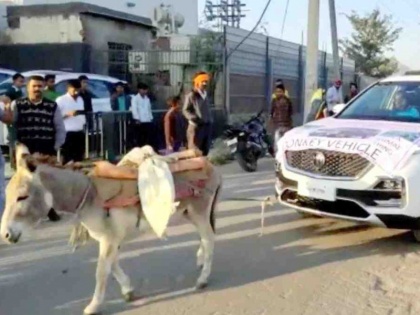 MG takes action against Hector owner who used donkey to defame brand | गधे से खिंचवाई हेक्टर कार, मालिक के खिलाफ कार्रवाई करेगी कंपनी, देखें पूरे मामले का वीडियो