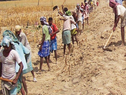 Uttar Pradesh Chief Minister Yogi Adityanath Sarkar claims, 51 lakh workers of the state got employment under MNREGA | उत्तर प्रदेश के मुख्यमंत्री योगी आदित्यनाथ सरकार का दावा, मनरेगा के तहत प्रदेश के 51 लाख श्रमिकों को मिला रोजगार