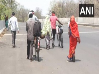 Migrant labourers cycling, walking on foot from Nagpur to Satna district of Madhya Pradesh amid Coronavirus lockdown | Coronavirus lockdown: महाराष्ट्र से मध्य प्रदेश तक साइकिल के जरिए यात्रा करने को मजबूर हैं प्रवासी मजदूर