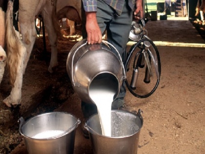 Pramod Bhargava's blog: Import of milk products postponed but adulteration is still a big problem | प्रमोद भार्गव का ब्लॉग: दुग्ध उत्पाद का आयात तो टला लेकिन मिलावट तब भी बड़ी समस्या है