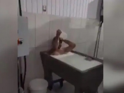 Trending viral news: Video of laborer bathing in a tub filled with milk in dairy goes viral | Video: डेयरी में दूध से भरे टब में नहाते हुए मजदूर का वीडियो सोशल मीडिया पर वायरल!, जानें सच्चाई