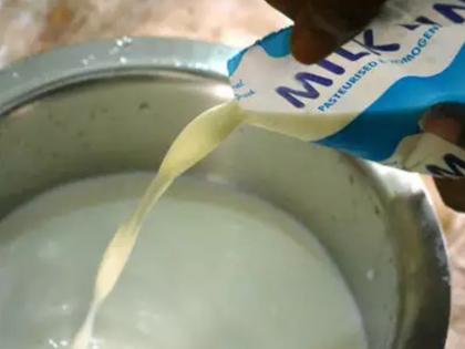 Maharashtra: 25% milk samples failed | दूध की जगह पी रहे हैं आप जहर? 25 फीसदी से अधिक सैंपल हुए फेल