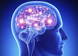 National Epilepsy Day 2023 Epileptic seizures can become a problem these methods are helpful in controlling this dangerous disease | National Epilepsy Day 2023: मिर्गी के दौरे का आना बन सकती है मुसीबत, इस खतरनाक बीमारी को कंट्रोल करने में मददगार ये तरीके