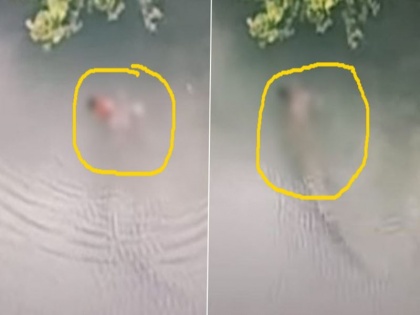 minor boy eaten live by Crocodile in Front Father During Fishing Malaysia Disturbing Video viral | विचलित करने वाला वीडियो! पिता के सामने ही बच्चे को जिंदा खा गया खतरनाक मगरमच्छ, लाश की खोज में अभी तक जुटी है रेस्क्यू टीम