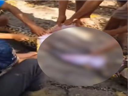 Missing Indonesian Farmer's Body Inside It Python's Stomach video | WATCH: दिल दहलाने वाला वीडियो, लोगों ने अजगर का पेट काटकर निकाला किसान का शव Missing Indonesian Farmer's Body Inside It Python's Stomach video | WATCH: दिल दहलाने वाला वीडियो, लोगों ने अजगर का पेट काटकर निकाला किसान का शव