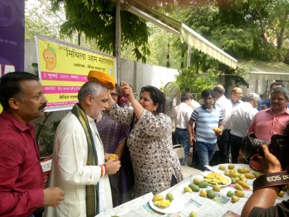 Mithila mango will be the world's market initiative: Ashwani Chaubey | मिथिला के आम को दुनिया का बाजार दिलाने की होगी पहल: अश्वनी चौबे