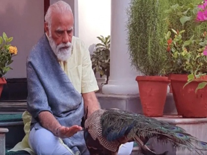 PM Narendra Modi shares video of 'precious moments' feeding peacocks during morning routine of exercises | अपने आवास पर मोर और मोरनियों को दाना खिलाते दिखे पीएम नरेंद्र मोदी, सोशल मीडिया पर शेयर किया वीडियो