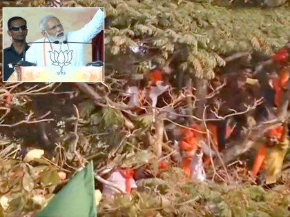 Prime Minister Narendra Modi urges people to climb down the trees at Rally Karnataka | Video: पीएम मोदी को देखने के लिए पेड़ों पर चढ़े लोग, स्पीच रोककर मोदी बोले- नीचे उतरिए, सुरक्षित हैं आप? 