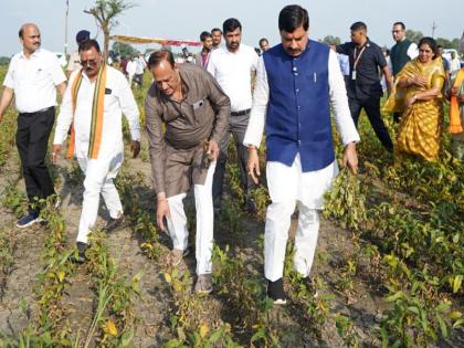 Madhya Pradesh: CM Dr. Mohan himself went to the fields and hugged the farmers, this style of CM to make you emotional | Madhya Pradesh: खुद उतरे खेतों में-अन्नदाताओं को लगाया गले, आपको इमोशनल कर देगा सीएम डॉ. मोहन का ये अंदाज