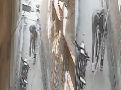 VIDEO: Molestation incident in broad daylight in Bijnor, UP; young man grabs woman on the street and kisses her | VIDEO: यूपी के बिजनौर में दिनदिहाड़े छेड़छाड़ की घटना, युवक ने सड़क पर महिला को दबोचकर किया 'किस'