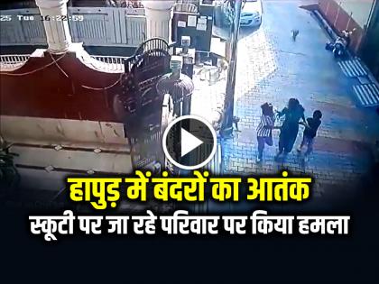 Monkeys Attack Family while they were Travelling on a scooter in Hapur | VIRAL: हापुड़ में बंदरों का आतंक, स्कूटी पर जा रहे परिवार पर किया हमला, देखें वीडियो