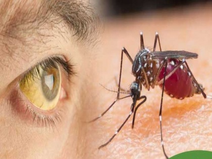 Monsoon Health Tips in hindi, precaution and safety tips during rainy season dengue season india | Monsoon Health Tips: बारिश के मौसम में इन 10 बीमारियों का ज्यादा खतरा, जानें बचने के उपाय