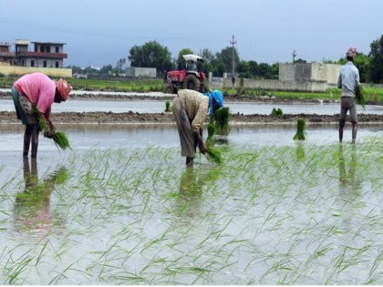 imd predicts near normal monsoon at 96 of long period average | किसानों के लिए अच्‍छी खबर: सामान्य रहेगा इस साल मानसून, फसल को होगा लाभ