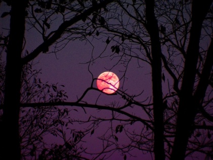 Strawberry moon 2018: Watch it tonight, know its significance and history | आज रात दिखेगा 'स्ट्रॉबेरी मून', चांद के ठीक बगल में घटेगी एक खास खगोलीय घटना भी
