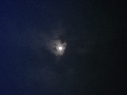 Eid-ul-Adha 2023 moon sighting Dhul Hijjah crescent sighted in India, Pakistan, Bangladesh Bakrid on June 29 | Eid-ul-Adha 2023: देश भर में ईद उल अजहा का त्योहार 29 जून को, उत्तर प्रदेश, बिहार, महाराष्ट्र और कर्नाटक में बकरीद का चांद नजर आया
