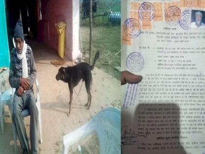 Madhya Pradesh Farmer wills half of his property to dog declares wife Upset with sons' behaviour Chhindwara | पालतू कुत्ते के नाम कर दी अपनी आधी संपत्ति, पूर्व सरपंच ने कहा-मुझे अपने बच्चों पर भरोसा नहीं है Madhya Pradesh Farmer wills half of his property to dog declares wife Upset with sons' behaviour Chhindwara | पालतू कुत्ते के नाम कर दी अपनी आधी संपत्ति, पूर्व सरपंच ने कहा-मुझे अपने बच्चों पर भरोसा नहीं है