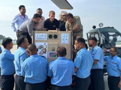 Two helicopters carrying 8 cheetahs brought from Namibia near Kuno National Park video | नामीबिया से लाए 8 चीतों को लेकर दो हेलीकॉप्टर कुनो नेशनल पार्क के पास पालपुर पहुंचे, देखें वीडियो Two helicopters carrying 8 cheetahs brought from Namibia near Kuno National Park video | नामीबिया से लाए 8 चीतों को लेकर दो हेलीकॉप्टर कुनो नेशनल पार्क के पास पालपुर पहुंचे, देखें वीडियो