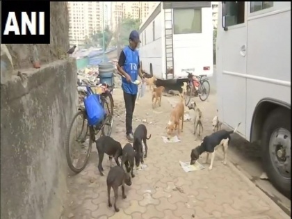 mp indore accused happy sprinkling petrol genitals dogs syringes giving severe pain for fun arrested | MP: सीरिंज से कुत्तों के गुप्तांगों पर पेट्रोल छिड़कर खुश हो रहे थे आरोपी, ‘मजे के लिए’ डॉगी को दे रहे थे भयंकर पीड़ा, गिरफ्तार