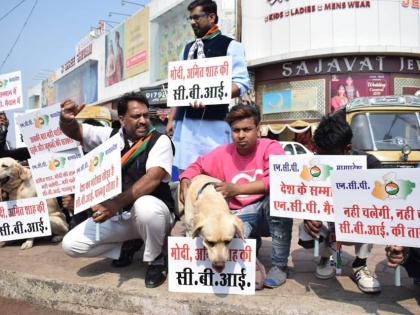 NCP has thrown dogs in Modi-Shah battles | एनसीपी ने कुत्तों के गले में डाली मोदी-शाह की तख्तियां