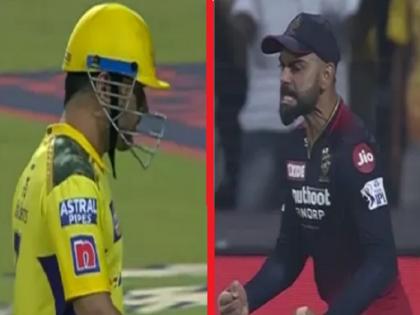 IPL 2022 Virat Kohli under criticism for allegedly using foul language after MS Dhoni gets out | IPL 2022: धोनी के आउट होने के बाद कोहली ने दी थी 'गाली'? सोशल मीडिया पर वीडियो शेयर कर फैंस जता रहे नाराजगी
