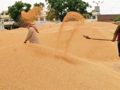 MSP Hike chunav polls elections 6 Rabi crop increase in MSP by Rs 130-300 per quintal impact will be visible in Maharashtra and Jharkhand elections 2024 | MSP Hike chunav 2024: 6 रबी फसल और एमएसपी में 130-300 रुपये प्रति क्विंटल की वृद्धि?, महाराष्ट्र और झारखंड चुनाव में दिखेगा असर! MSP Hike chunav polls elections 6 Rabi crop increase in MSP by Rs 130-300 per quintal impact will be visible in Maharashtra and Jharkhand elections 2024 | MSP Hike chunav 2024: 6 रबी फसल और एमएसपी में 130-300 रुपये प्रति क्विंटल की वृद्धि?, महाराष्ट्र और झारखंड चुनाव में दिखेगा असर!