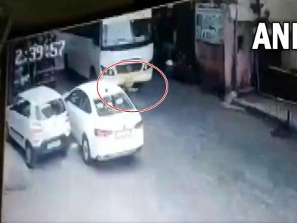Mumbai After hitting an old man bus ran over him narrowly saved his life video viral | टक्कर मारने के बाद मुंबई में बुजुर्ग के ऊपर से निकली बस, बाल-बाल बची जान, वीडियो वायरल