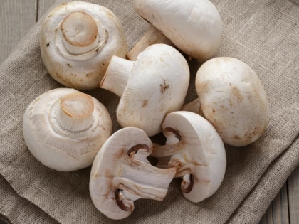 mushroom benefits:amazing health benefits of mushroom in Hindi, mushroom nutrition, how to make mushroom curry, recipe in Hindi | mushroom benefits: मशरूम की सब्जी के फायदे, सेहत का खजाना है मशरूम, 8 गंभीर रोगों से करती है बचाव