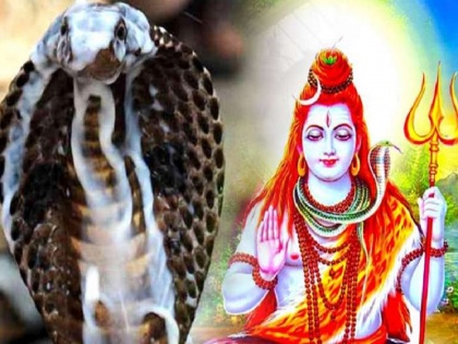 Nag Panchami Do not do this work even by mistake on the day of Nag Panchami otherwise Mahadev will get angry know what to do or not | नाग पंचमी के दिन के दिन भूलकर भी न करें ये काम वरना रूठ जाएंगे महादेव, जानें क्या करें क्या न?