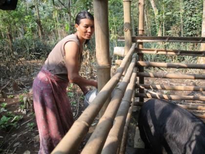 Nagaland Assembly Elections 2018: No female legislator elect in 54 years | नागालैंड में अबतक नहीं बनी कोई महिला विधायक, इसबार खाता खुलने की उम्मीद