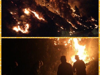 Nainital forest fire threatens civilian area boating stopped army called | नैनीताल के जंगल में लगी आग से नागरिक क्षेत्र को खतरा; नौकायन रोका गया, सेना बुलाई गई