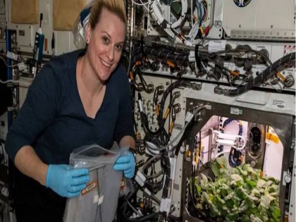 NASA astronaut harvests first radish crop on International Space Station | अंतर्राष्ट्रीय स्पेस स्टेशन में वैज्ञानिकों ने पहली बार उगाई मूली, NASA का वीडियो शेयर करते ही हुआ वायरल