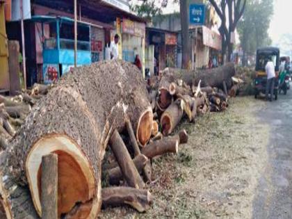 Maharashtra: 47000 trees being cut for National Highway 166 E and NH 266 | महाराष्ट्रः रत्नागिरि-नागपुर और गुहागर-विजापुर हाईवे के लिए काटे जा रहे 47 हजार पेड़, नियमों की उड़ रही हैं धज्जियां