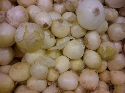 white onion is best medicine in many disease must for diabetes patient health tips in hindi | सफेद प्याज कई गंभीर बीमारियों का है राम बाण इलाज, डायबिटीज के मरीज इसे डाइट में जरूर करें शामिल white onion is best medicine in many disease must for diabetes patient health tips in hindi | सफेद प्याज कई गंभीर बीमारियों का है राम बाण इलाज, डायबिटीज के मरीज इसे डाइट में जरूर करें शामिल