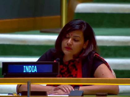 India strong response to Shahbaz Sharif peace statement at the UN says Pakistan harbours terrorists | 'पाकिस्तान ने आतंकियों को पनाह दी', UN में शहबाज शरीफ के शांति वाले बयान पर भारत का पलटवार, दिया करारा जवाब