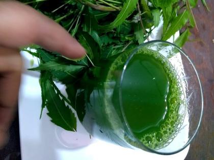 neem ka ras peene ke fayde: health benefits of neem ka juice for skin diseases, cancer, diabetes, cholesterol and obesity | इस ताकतवर जूस को खाली पेट पीने से डायबिटीज, चर्म रोग, कोलेस्ट्रॉल जैसी 8 बीमारियों होने लगेंगी बेअसर