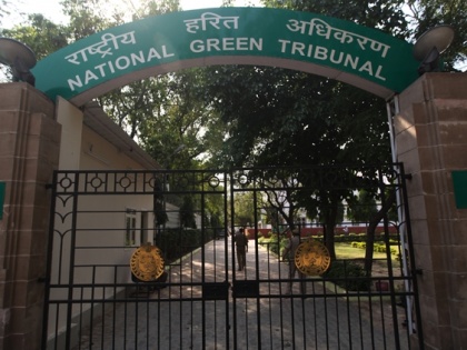 NGT directs to maintain status quo of not cutting the trees in Delhi 19 July, top updates | दिल्ली में पेड़ों की कटाई पर 19 जुलाई तक प्रतिबंध, एनजीटी ने सरकार को नोटिस भेजकर मांगा जवाब