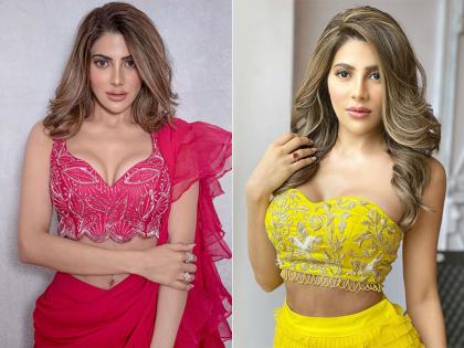 निक्की तंबोली ने साड़ी में दिखाया ग्लैमरस अंदाज, इंस्टाग्राम पर तस्वीरें हुईं वायरल